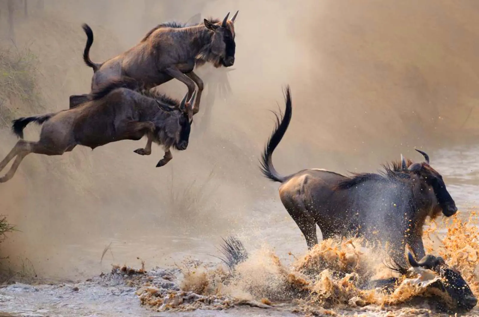 Uganda sports and adventure destination